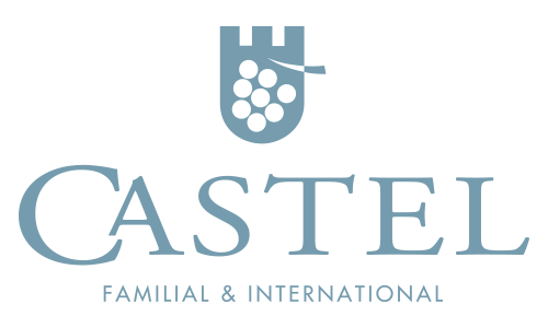 LOGO_CASTEL